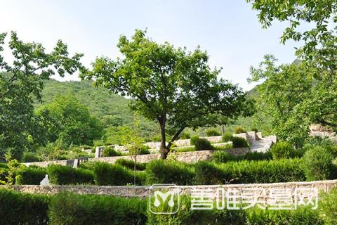   北京公墓地价格查询在哪里，价格是多少